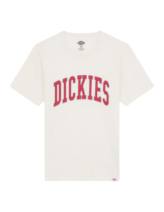 CAMISETA DICKIES AITKIN DK0A4X9FC481