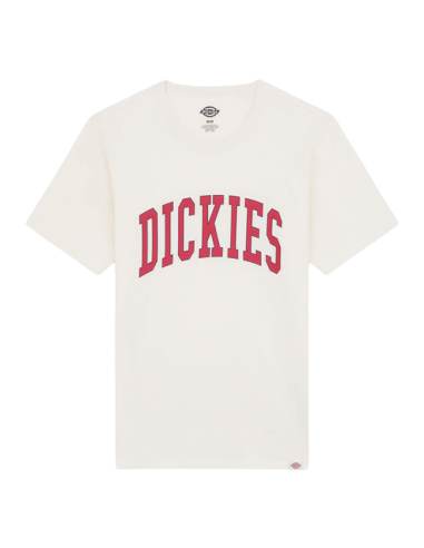 CAMISETA DICKIES AITKIN DK0A4X9FC481
