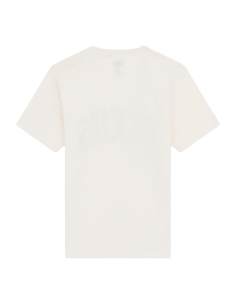 CAMISETA DICKIES AITKIN DK0A4X9FC481 2