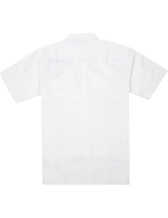 CAMISA DICKIES CLINTONDALE REC DK0A4XRRWHX1  2
