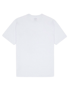 CAMISETA DICKIES AITKIN CHEST DK0A4Y8OWHX1 2
