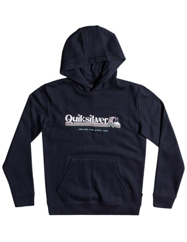 SUDADERA QUIKSILVER ALL LINED UP 